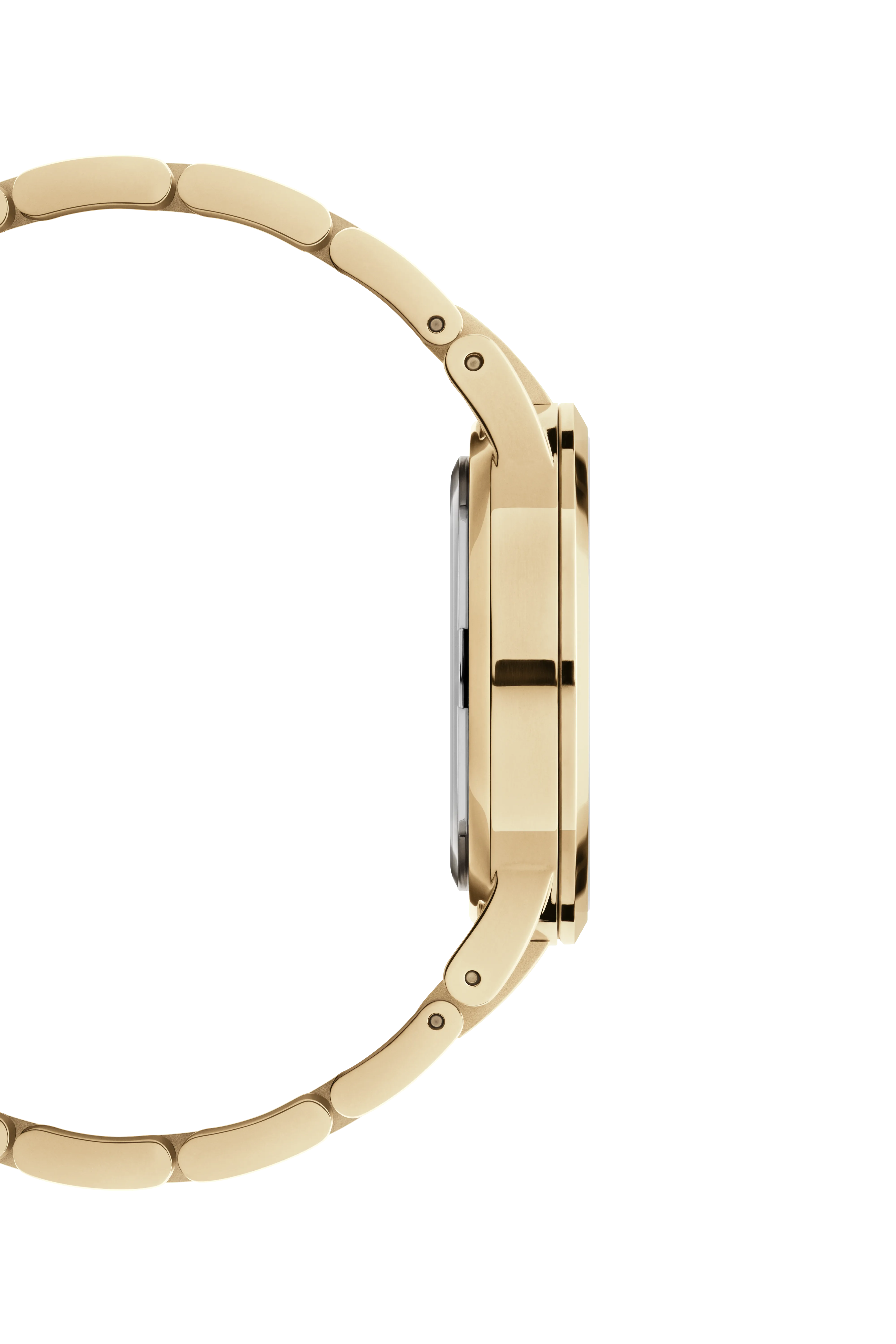 Daniel Wellington Green Dial Unisex Analogue Watch - DW00100553