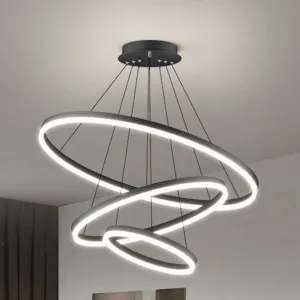 Modern LED Pendant Chandelier High Brightness Ornament