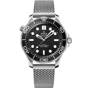 Omega Seamaster Diver 300M 42 mm, steel on steel 210.30.42.20.01.010