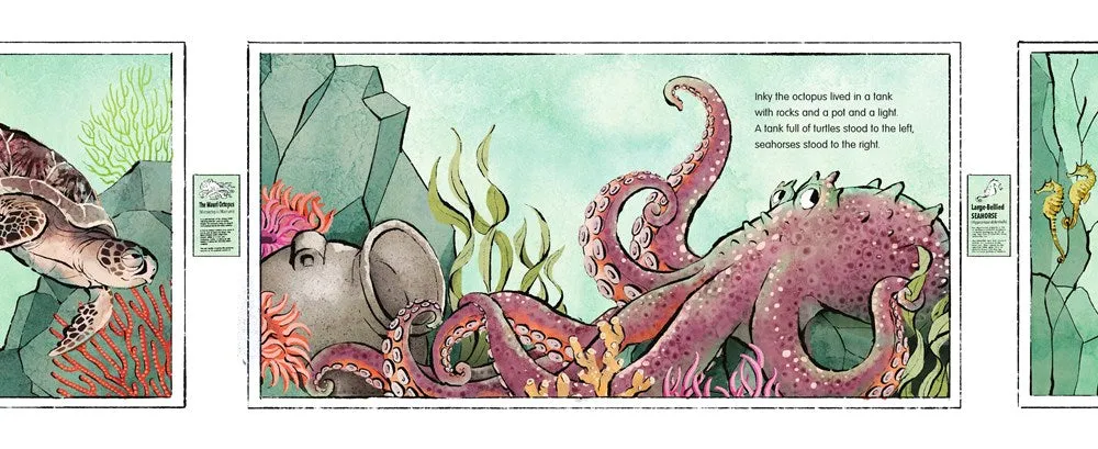 The Escape Artist : A True Story of Octopus Adventure