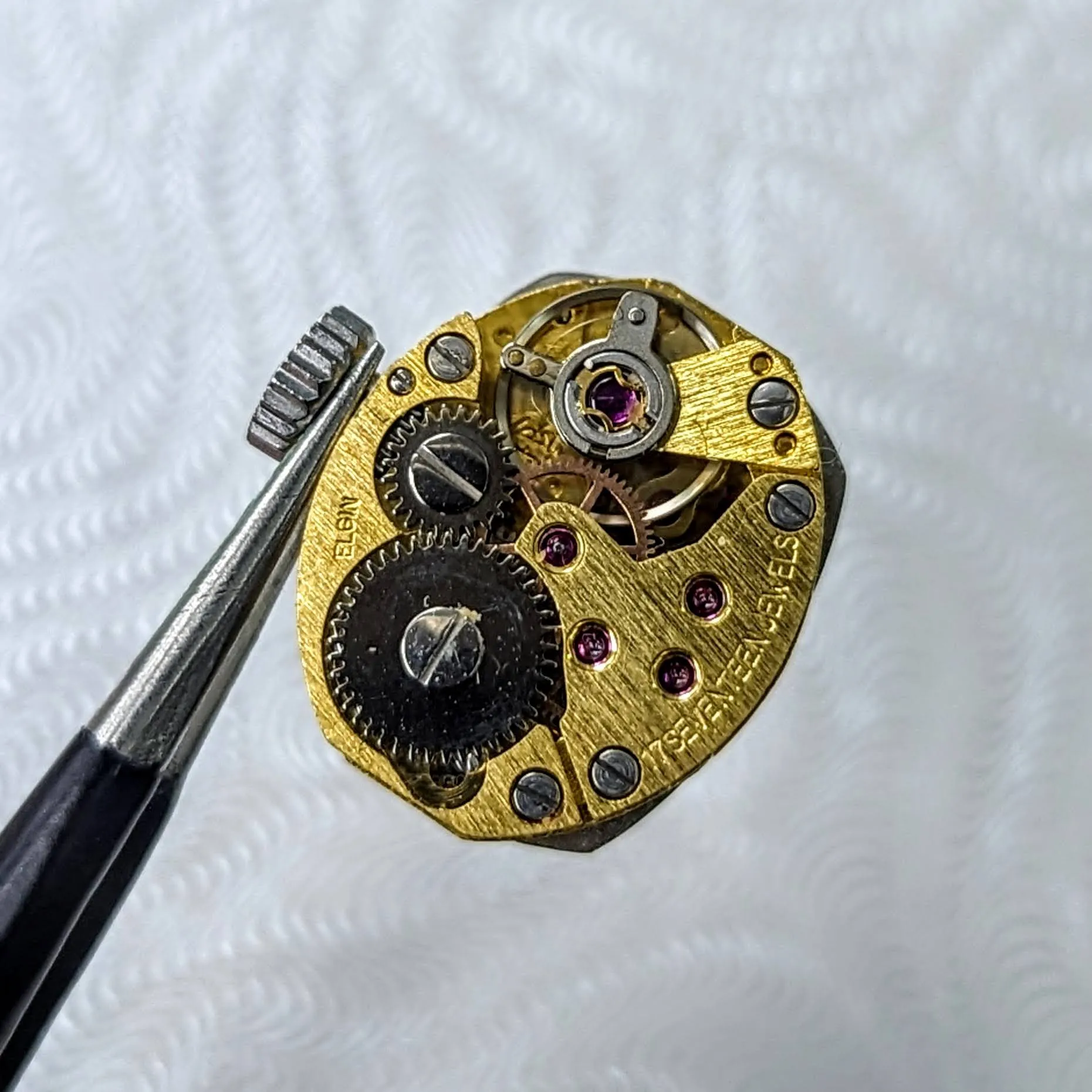 Vintage Ladies ELGIN Watch - Textured Dial & Fancy Lugs, Original Speidel Bracelet